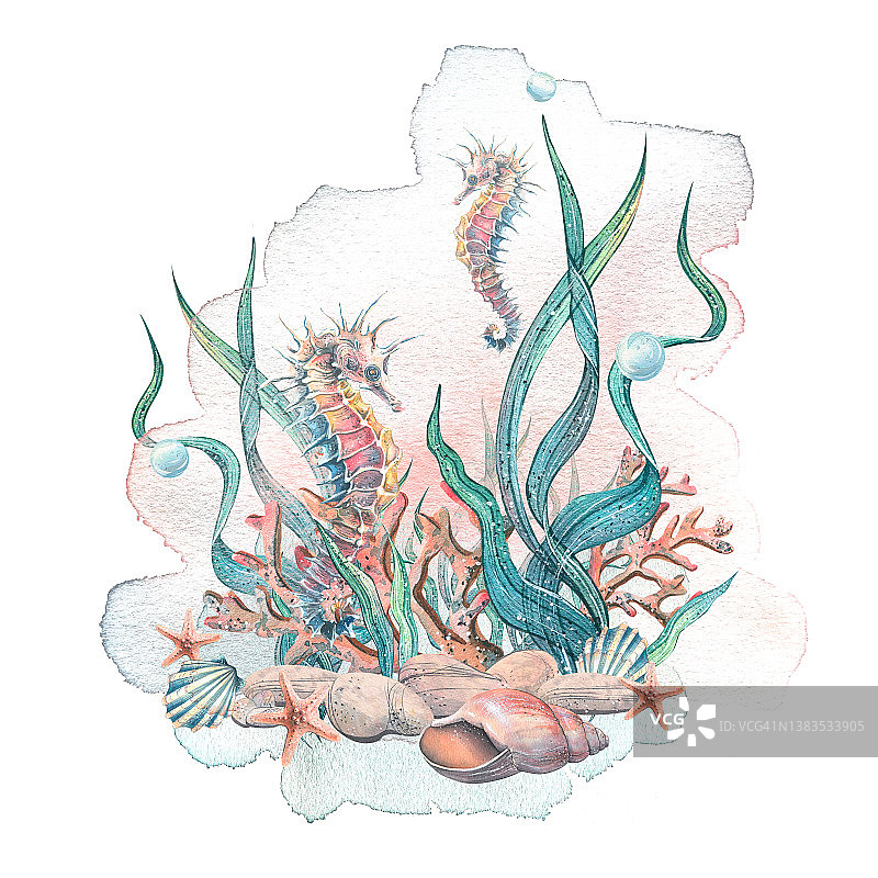 海洋动物的水彩插图组成。装饰。图片素材