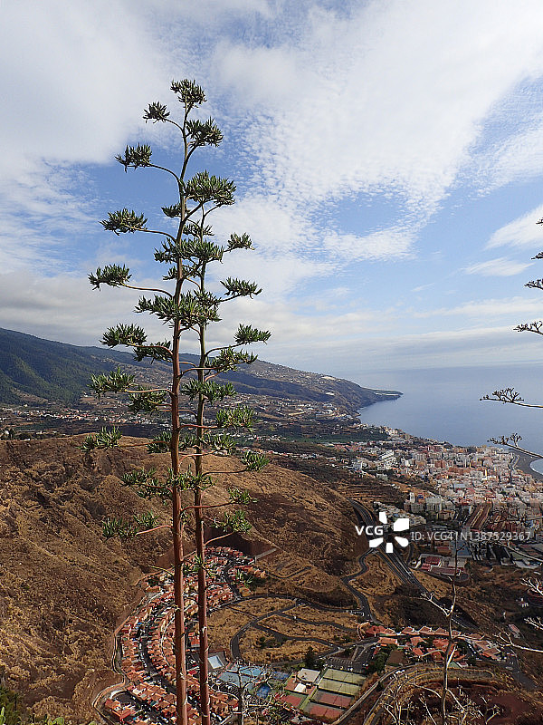 从La Concepción的视角看圣克鲁斯德拉帕尔马，城市和港口。拉帕尔马，加那利群岛图片素材