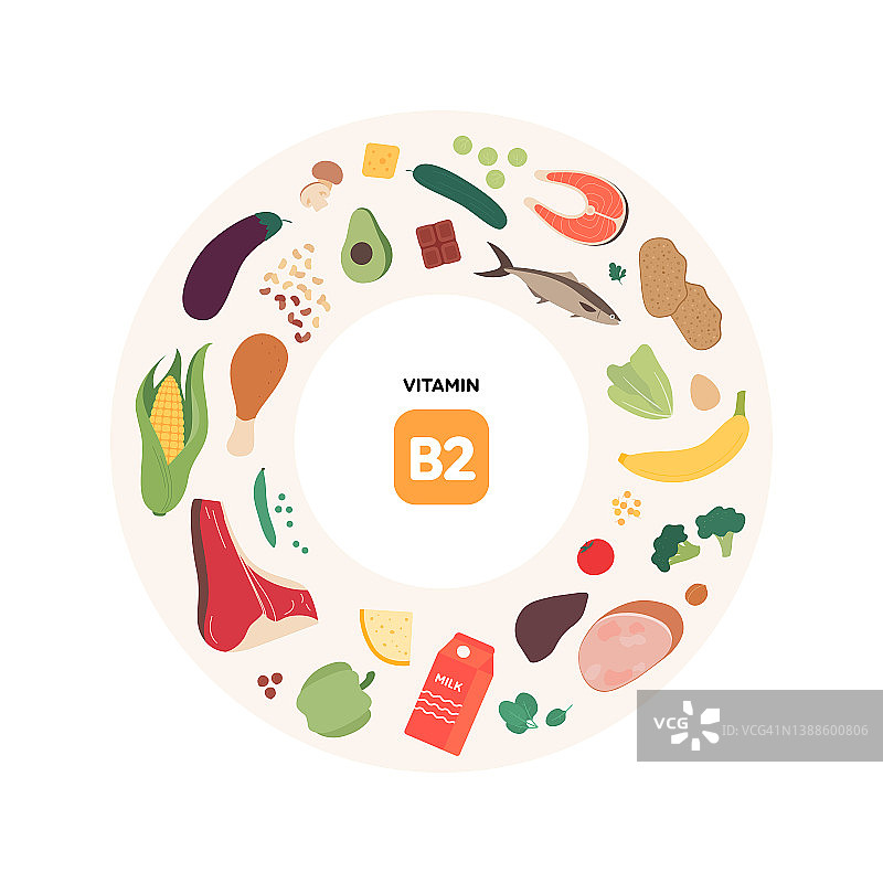 健康饮食指南理念。矢量平面插图。b2维生素来源信息图。彩色肉类，家禽，海鲜，蘑菇，水果，蔬菜，乳制品和坚果图标集。图片素材