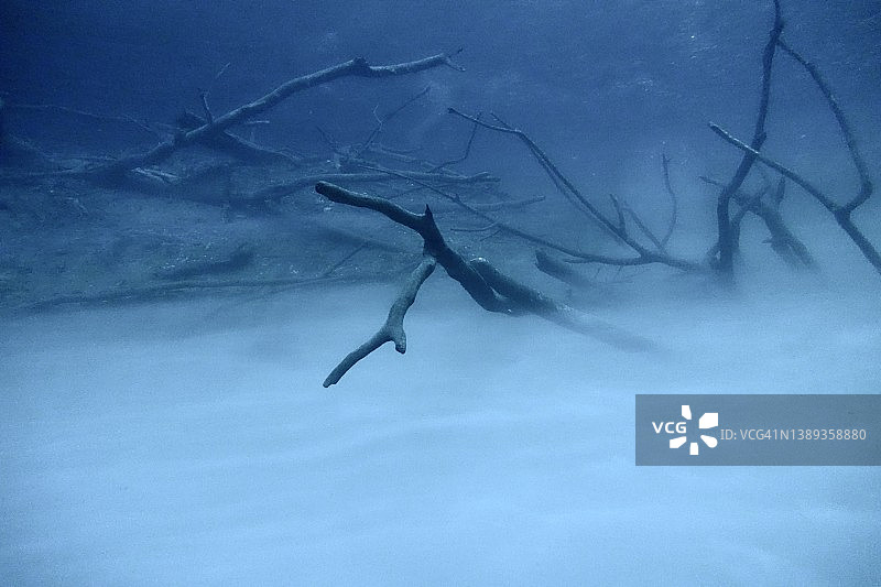 墨西哥安吉利塔的天然井潜水图片素材