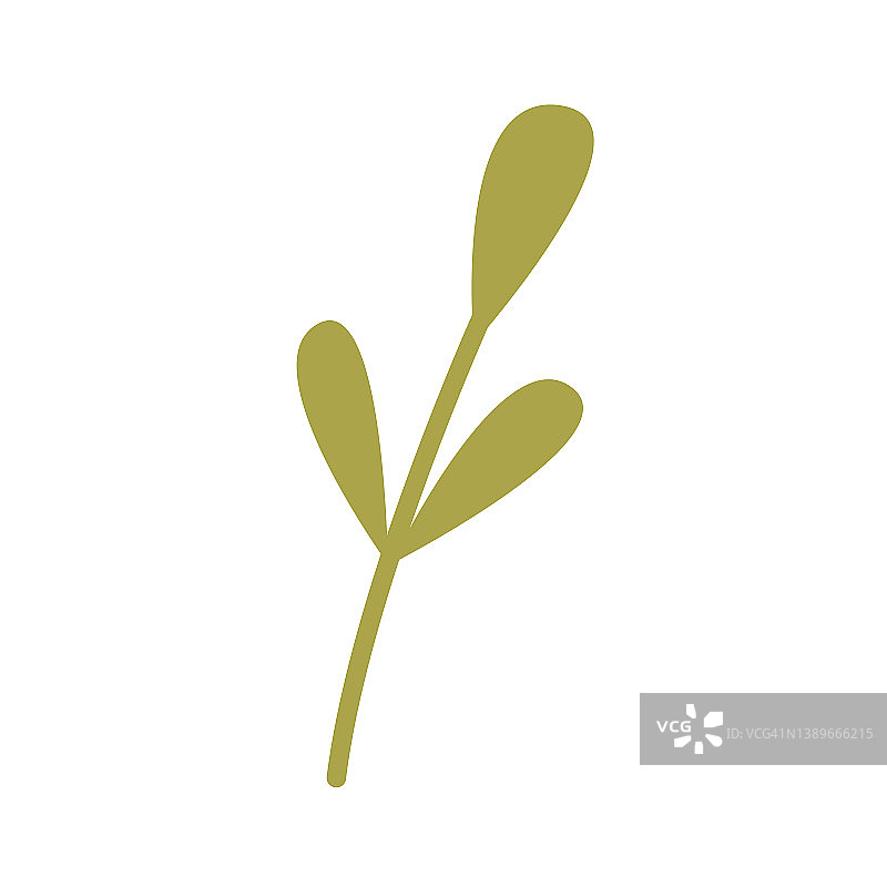 简单的植物，小枝与叶子，矢量平面设计元素图片素材