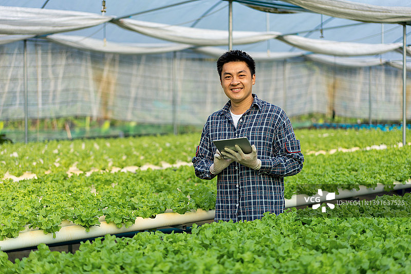一个聪明的年轻亚洲农民使用数字平板电脑监控记录的质量和数量的有机水培菜园在温室种植园图片素材
