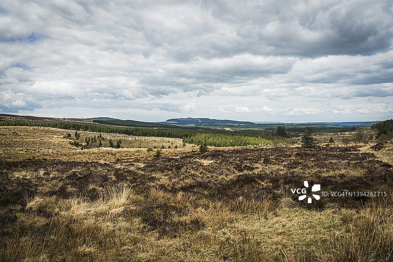 加洛威森林公园，苏格兰图片素材