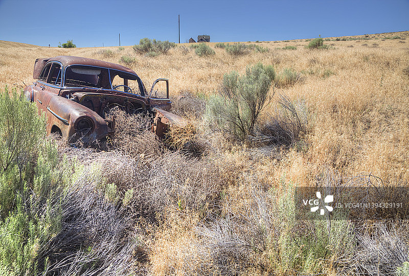 一辆20世纪50年代的汽车在田野里的残骸图片素材