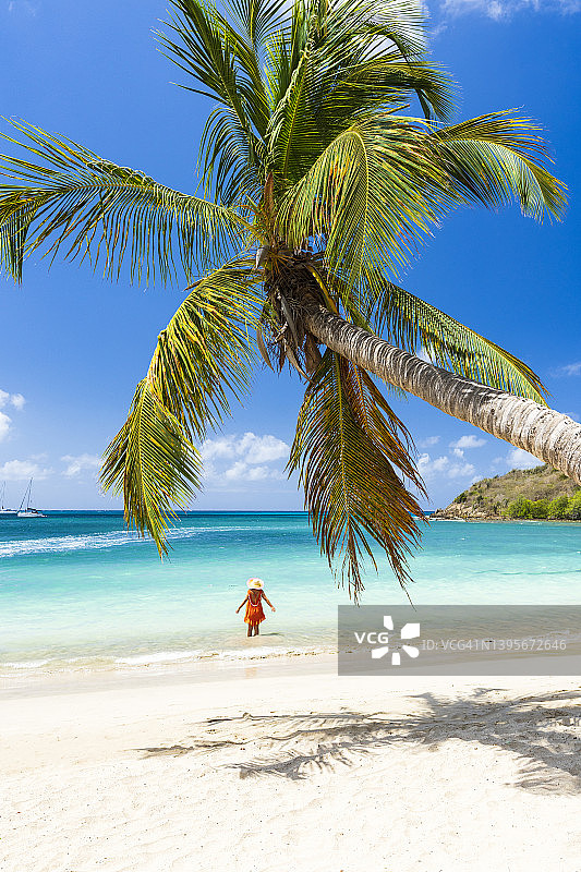 美丽的女人在蓝绿色的加勒比海晒日光浴图片素材