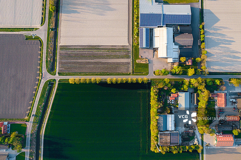 荷兰noordostpolder地区彩色郁金香田和农舍的鸟瞰图图片素材