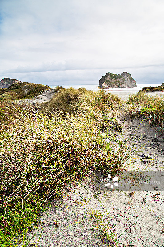 海滩上的草与Archway群岛的背景在码头海滩，黄金湾，新西兰图片素材
