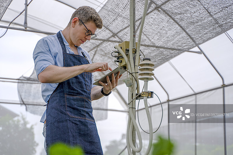 一个年轻人在有机农场工作。种植蔬菜。图片素材