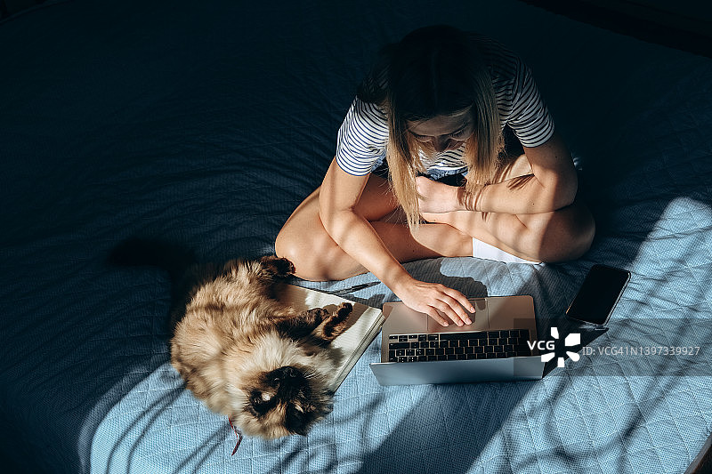 年轻女子在家里的床上用笔记本电脑工作，抱着她的猫。观看连续剧或社交网络、远程教育或远程工作的女性图片素材