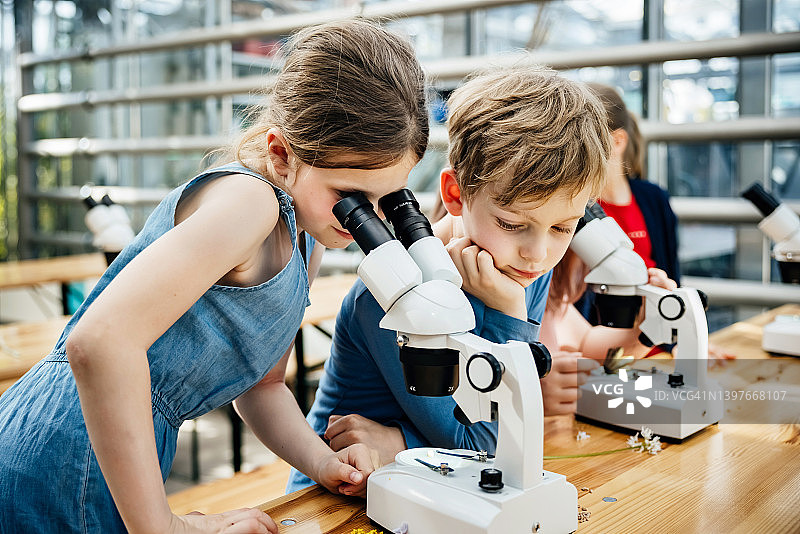 两个年幼的孩子在学校旅行中用显微镜做实验图片素材