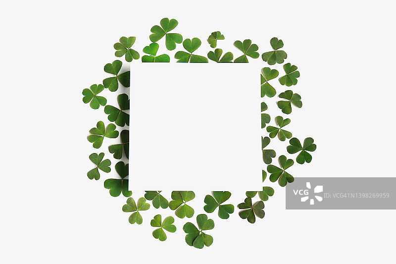 绿色的三叶草叶和空白卡片上的白色背景，平铺图片素材
