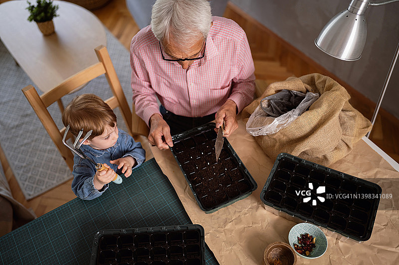 高角度观爷爷帮孙子播种，为他的菜园种菜图片素材