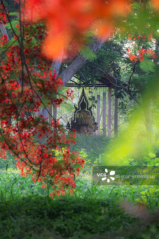 夏天的火焰树与佛像，泰国清迈图片素材