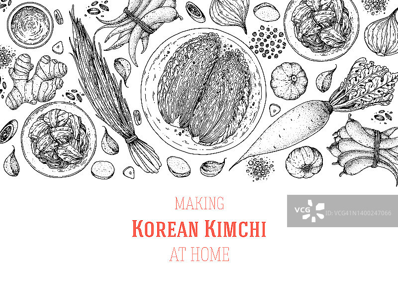 泡菜烹饪及泡菜配料，素描插图。韩国菜。健康食品，设计元素。手绘、包装设计。亚洲食物图片素材