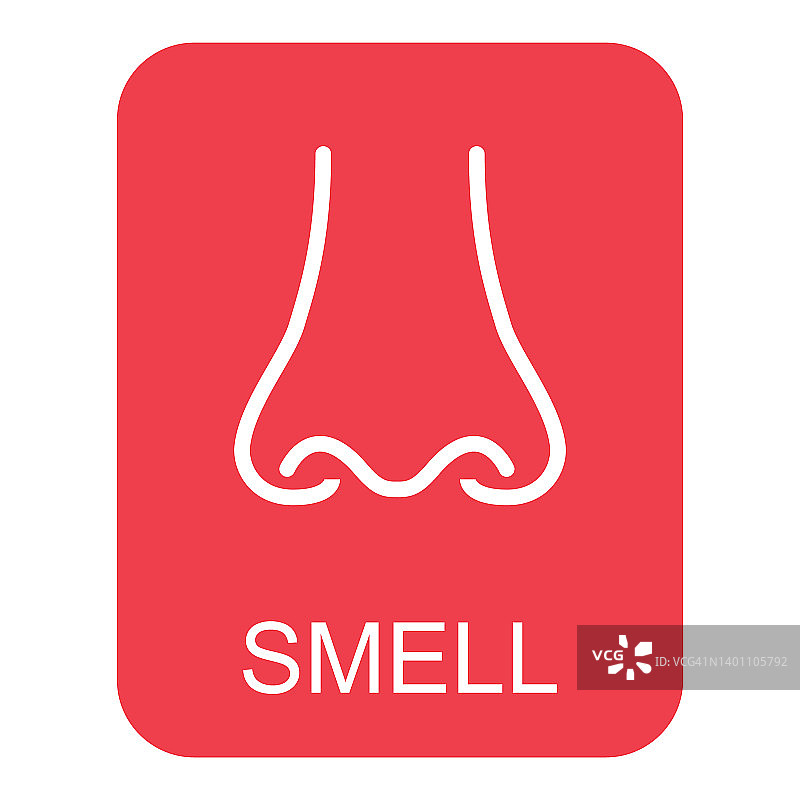 人体解剖学上的扁鼻子图标，嗅觉健康器官向量插图，面部部分标志图片素材