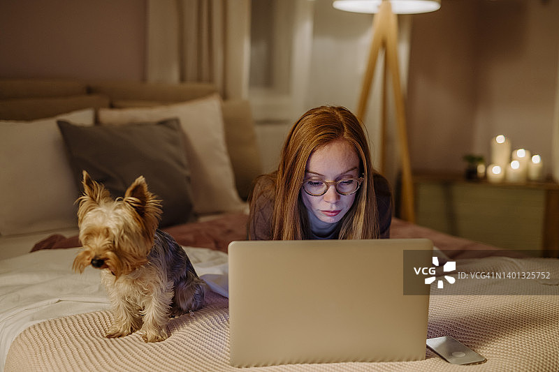 红发女子在家里的床上使用约克郡犬的笔记本电脑图片素材