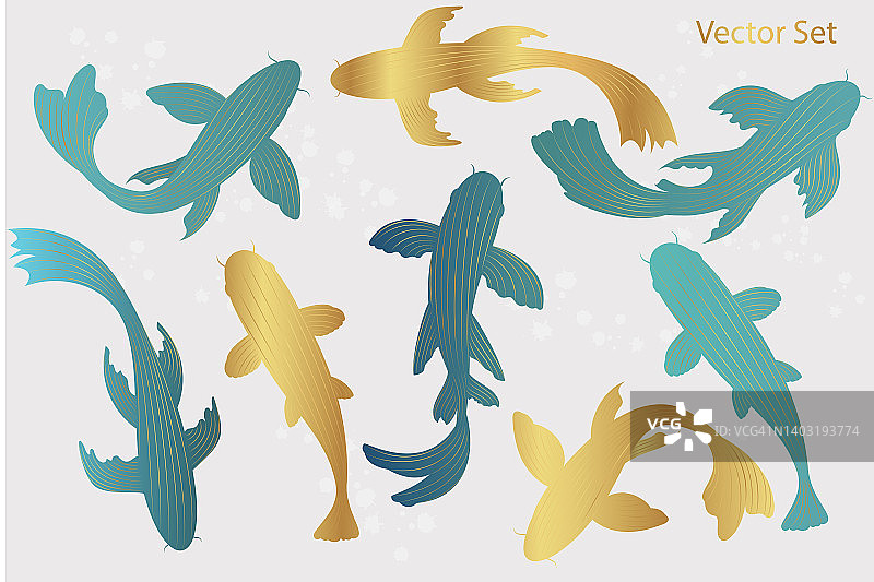 线条艺术风格的锦鲤套。鱼的轮廓。图片素材