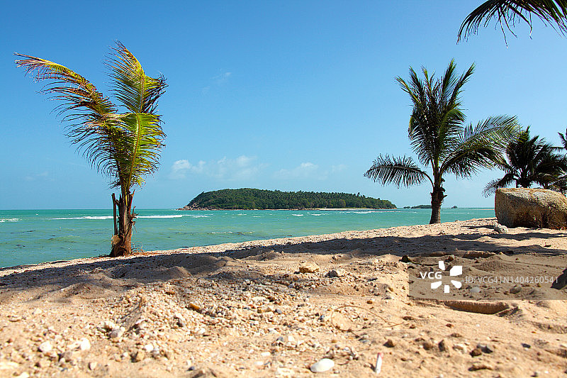 阳光明媚的热带海岛沙滩图片素材