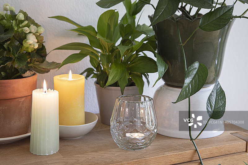 绿叶的室内植物和蜡烛，温馨典雅的家居室内装饰布置。图片素材