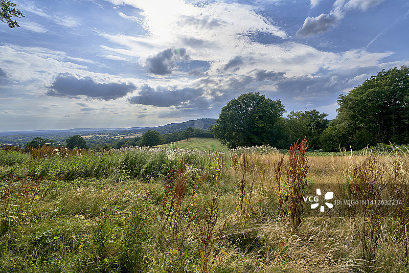 萨里山的夏季英国乡村。英国萨里郡英格兰。图片素材