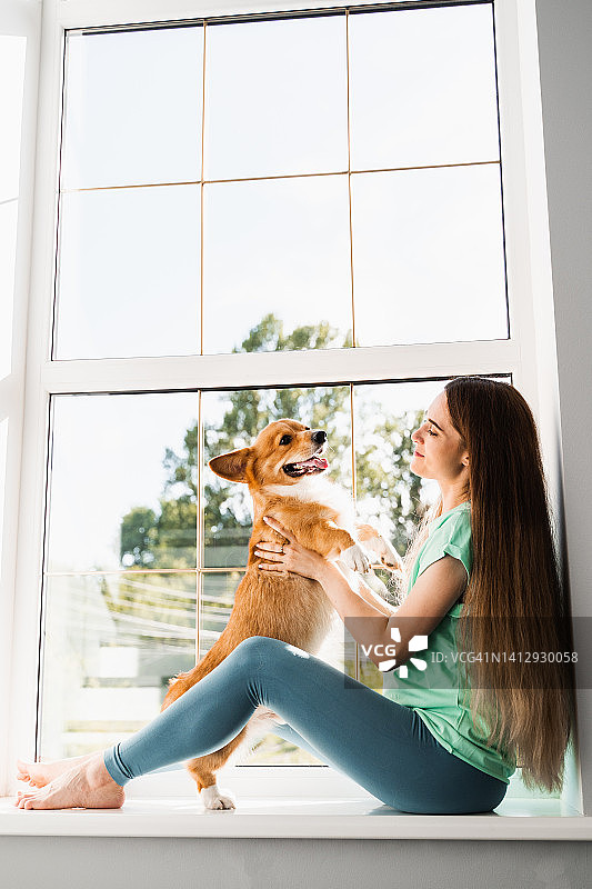 迷人的女孩拥抱和玩柯基狗。威尔士柯基彭布罗克和他的女主人在地板到天花板的窗户背景。图片素材