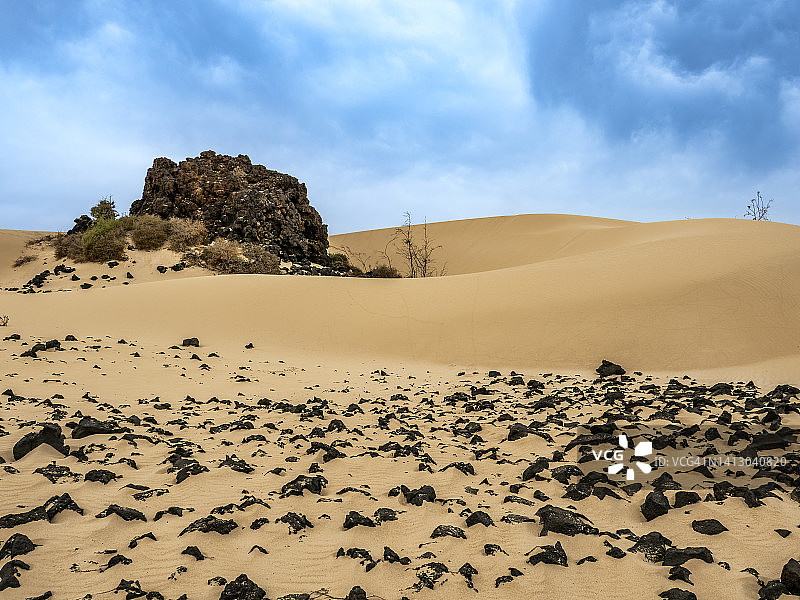 加那利群岛海边的沙丘和植物组成的沙漠。图片素材