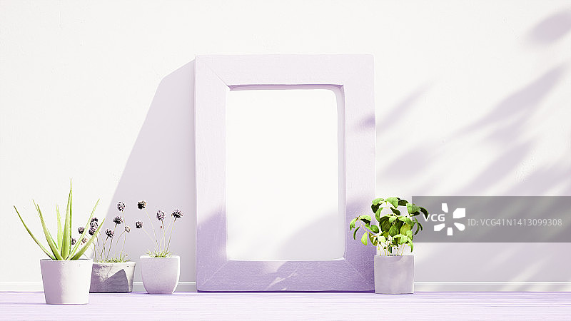 相框模型，白色墙壁复制空间背景，木地板上的室内植物，薰衣草色图片素材