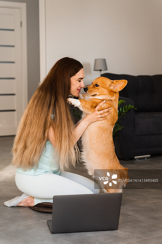 抱着笔记本电脑的女孩在家里亲吻威尔士柯基犬彭布罗克。年轻女子和她的狗一起休息放松。养宠物的生活方式。图片素材