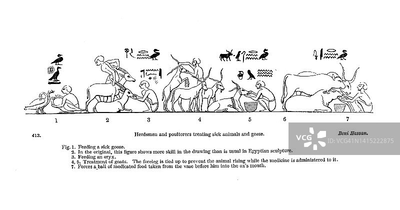 19世纪雕刻牧民和饲养家禽的人治疗生病的动物和鹅;贝尼·哈桑;图片和象形文字，选自1854年《古埃及人的通俗故事》图片素材
