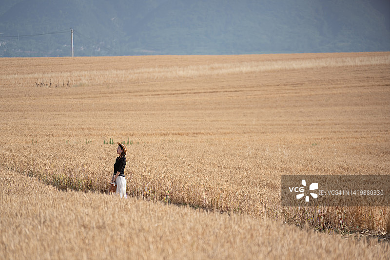 一个美丽的年轻女子在金色的麦田里奔跑图片素材
