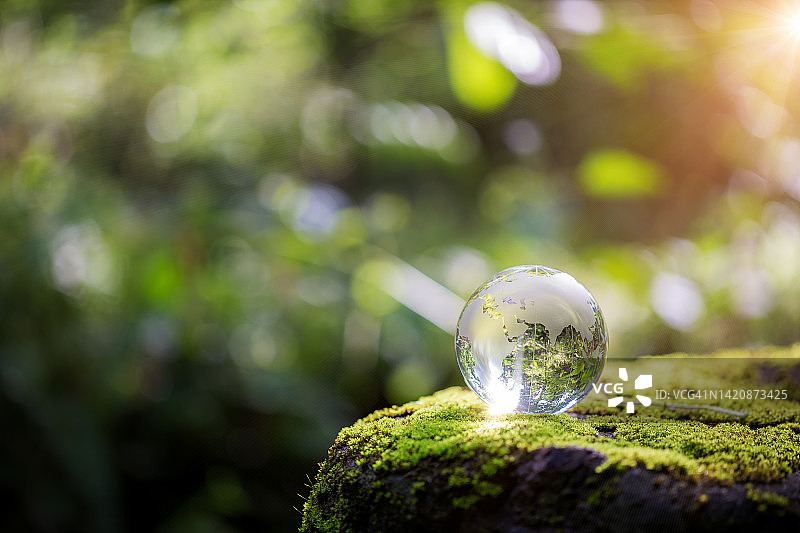 地球玻璃在绿色森林与散景自然灯。世界环境日。以环保理念，保护生态地球，以复制空间保护环保生活图片素材