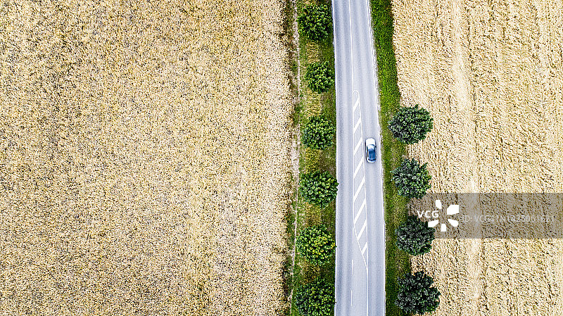 汽车行驶在穿过麦田的乡间小路上图片素材
