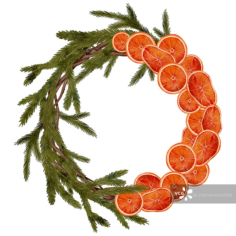 水彩圣诞花环插画。用云杉，冷杉枝，干橙片手工画圆冬季框架。喜庆新年，冬季婚礼装饰孤立在白色背景上。图片素材
