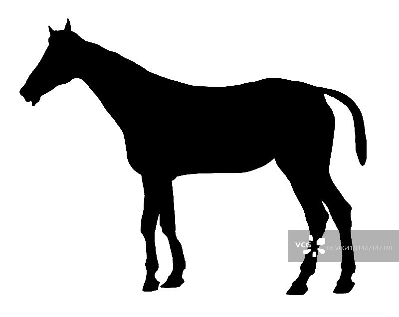 马的轮廓，形状图片素材