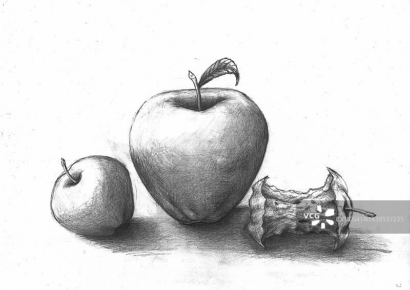 炭画的苹果。图片素材
