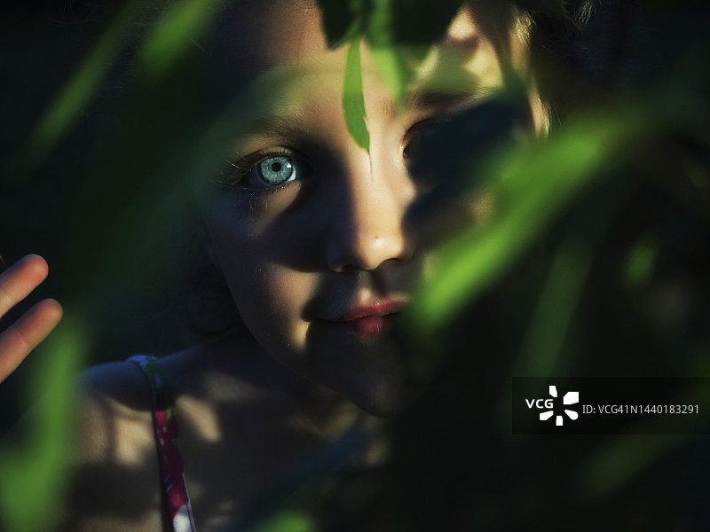 波兰，一个有着锐利蓝眼睛的女孩躲在花园里的植物后面图片素材