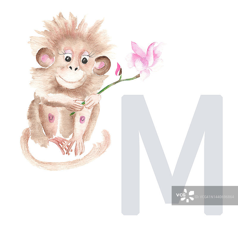 字母M，猴子，可爱的小朋友动物ABC字母。水彩插图孤立在白色背景。可以用来做字母或卡片给孩子学习英语词汇和书写吗图片素材