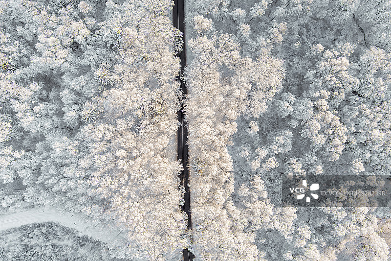 俯视图蜿蜒的道路通过冬季森林覆盖的积雪图片素材