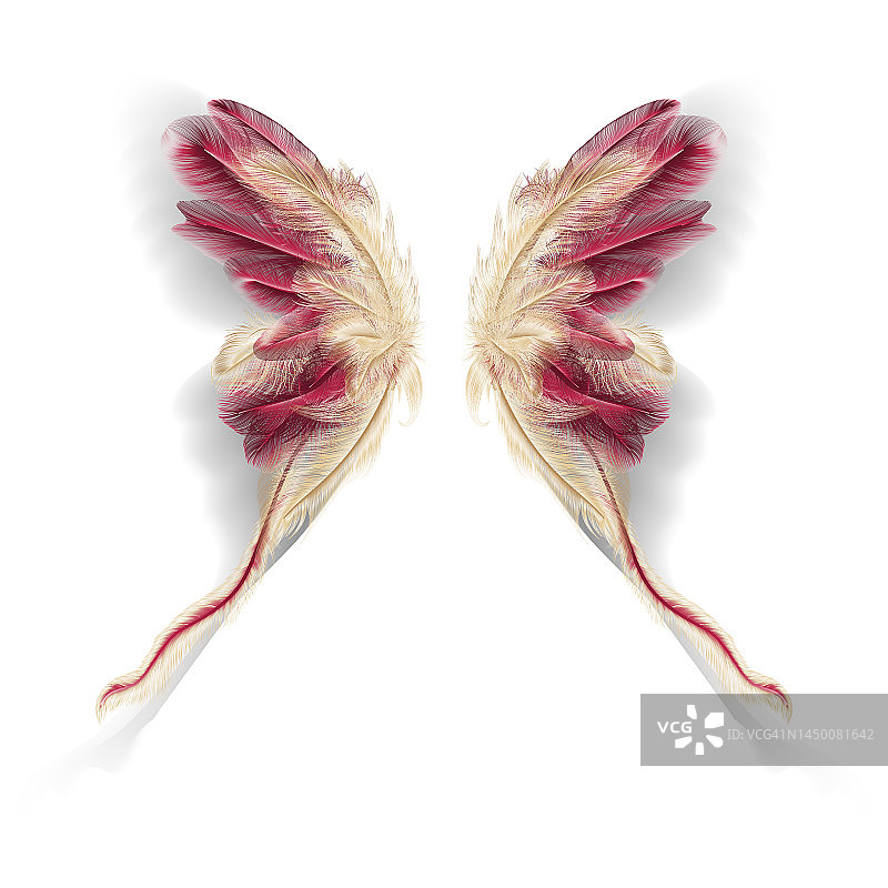 蝴蝶的翅膀和羽毛。现代抽象艺术金色和Viva品红色羽毛。矢量插图。图片素材