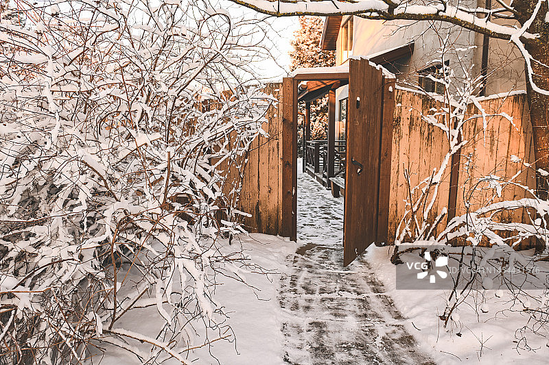 后院花园里的树被雪覆盖着图片素材