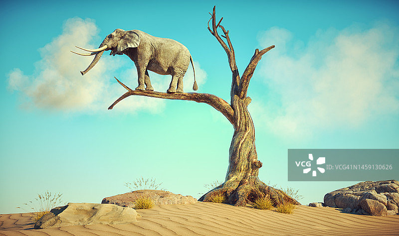 大象站在枯树的细枝上，超现实的风景。图片素材