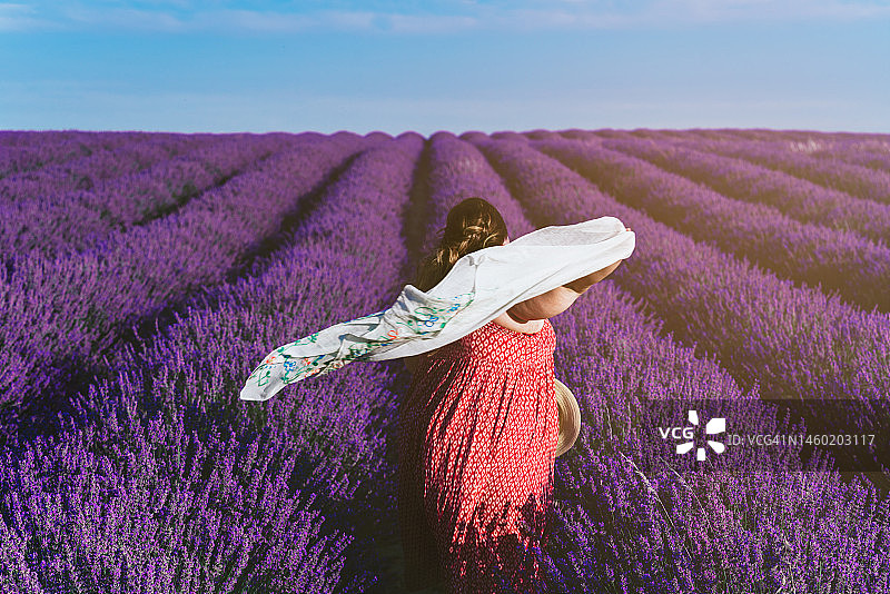 一张美丽的照片，一位女性在满是紫色花朵的田野里摆姿势图片素材