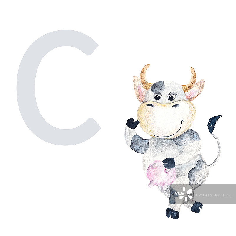 字母C，大写，小奶牛，可爱的孩子彩色动物ABC字母。水彩手绘插图孤立的白色背景。可用于字母或卡片的孩子学习英语词汇和书写。图片素材
