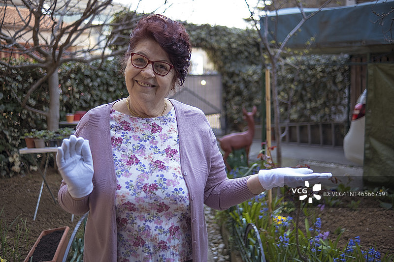 满意的奶奶用园艺手套种植图片素材