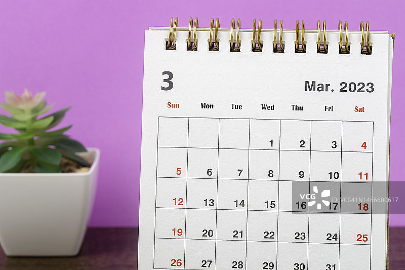 日历桌2023:三月是组织者计划和截止日期的月份，在粉红色的纸背景下放置室内植物。图片素材