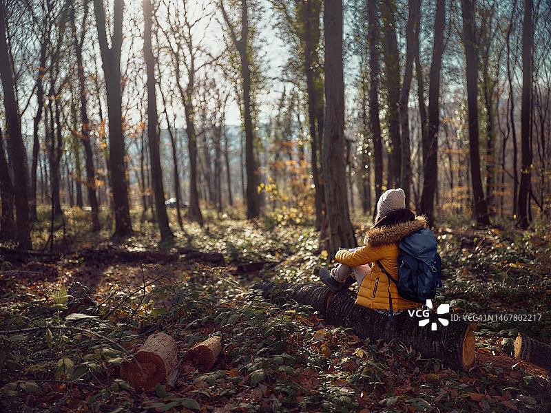 一个女性背包客在秋日森林休息的背影。图片素材