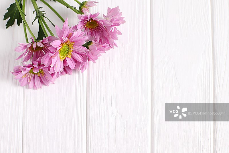 粉红色的雏菊花在白色的木制背景，西班牙图片素材
