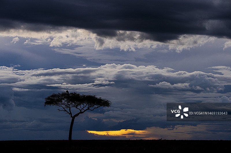 马赛马拉国家保护区大草原上的壮观天空图片素材