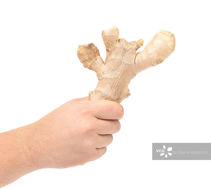 裁剪手握蘑菇对白色背景，摩尔多瓦图片素材