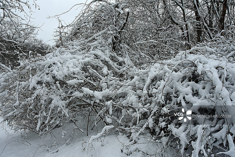 纽约市北部郊区首次出现可测量的降雪。照片摄于纽约白原。图片素材